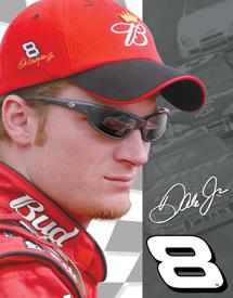 Click for Dale Jr. - Close Up Detail