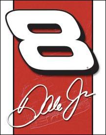 Click for Dale Jr. - #8 Logo Detail